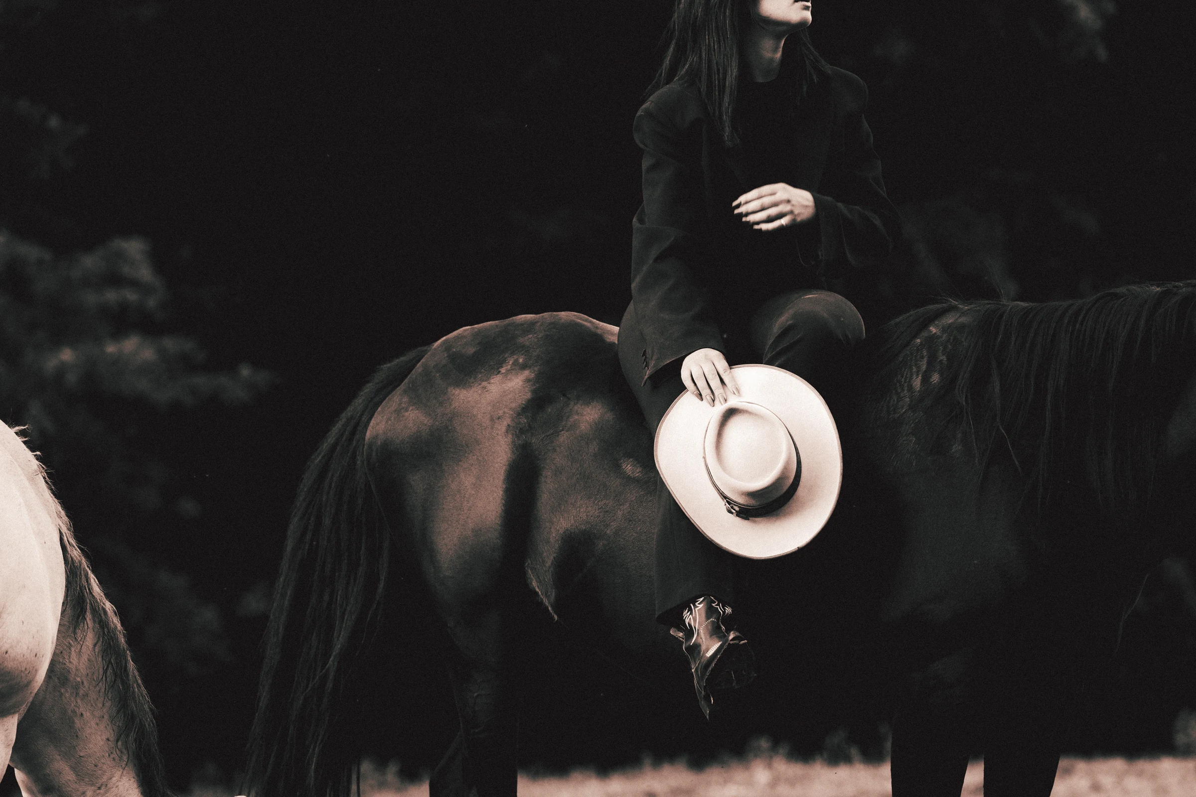 Rider and horse photographed in a dark atmosphere
