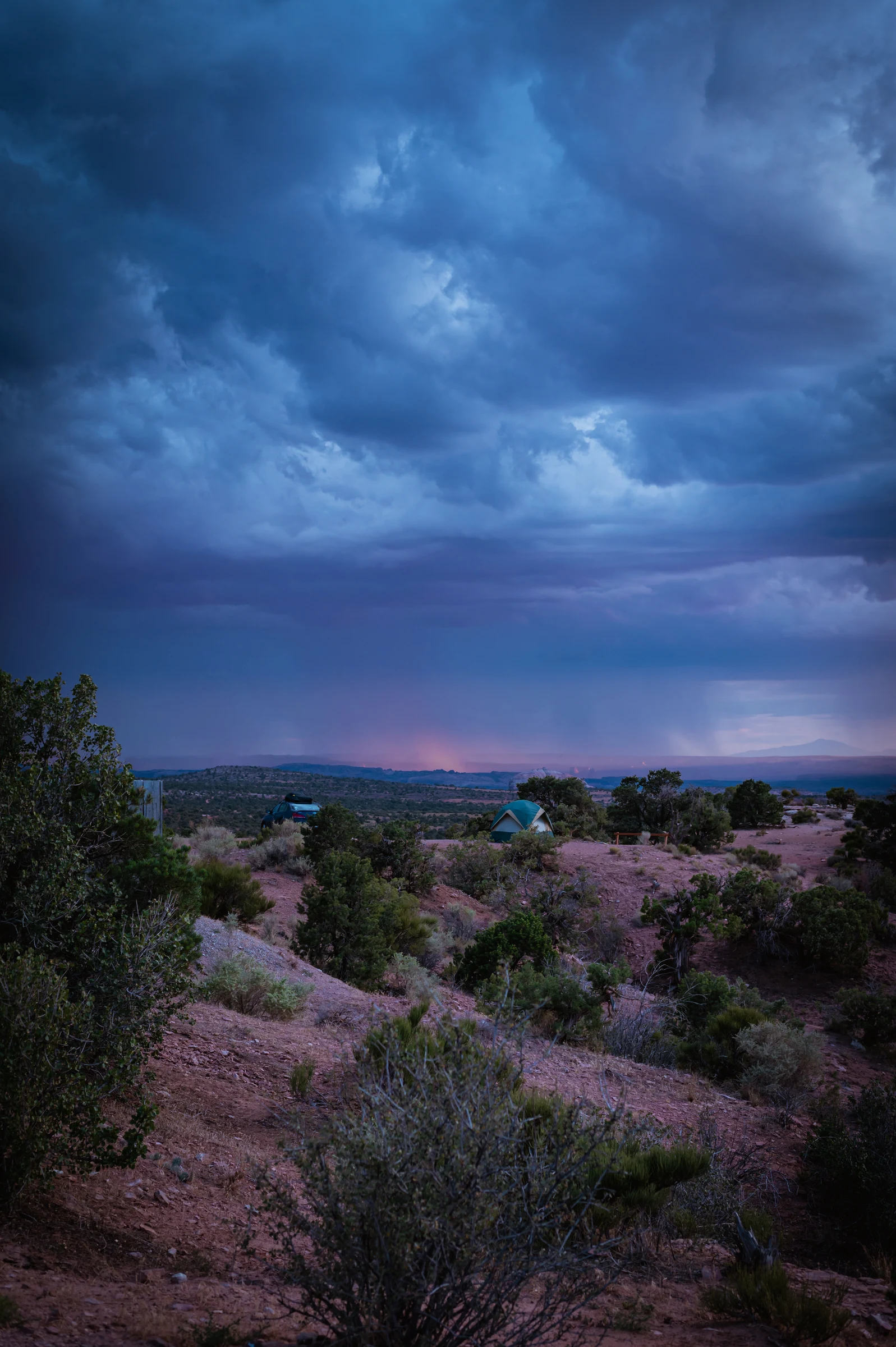 Lavender landscape beneath a stormy sky